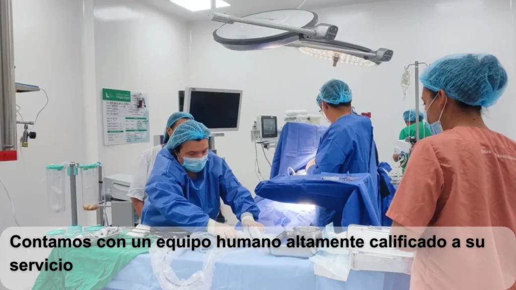 Equipo humano altamente calificado Equipo humano altamente calificado